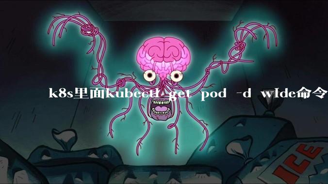 k8s里面kubectl get pod -d wide命令作用是什么？